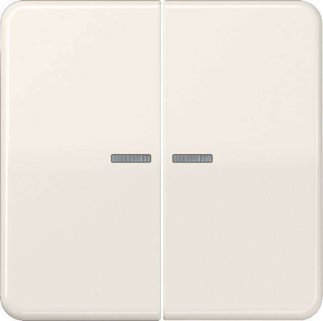 Jung Wippe Lichtleiter ws CD 595 KO5