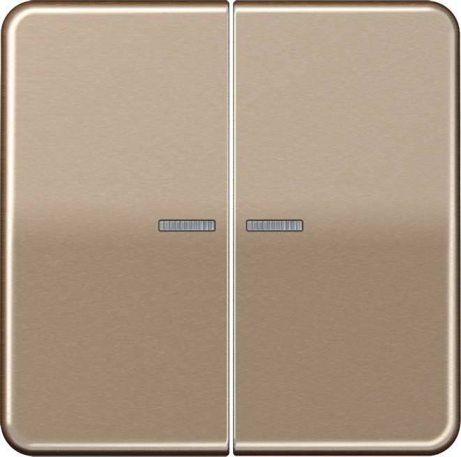 Jung KNX RF Taster 2fach CD 10921 ST RF GB