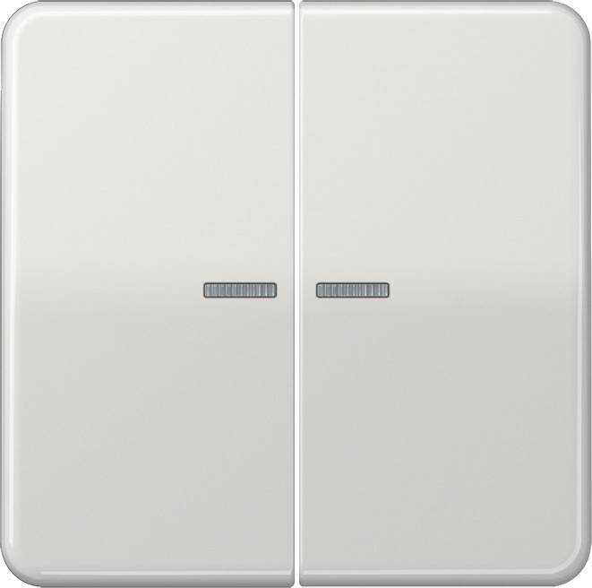 Jung KNX RF Taster 2fach CD 10921 ST RF LG