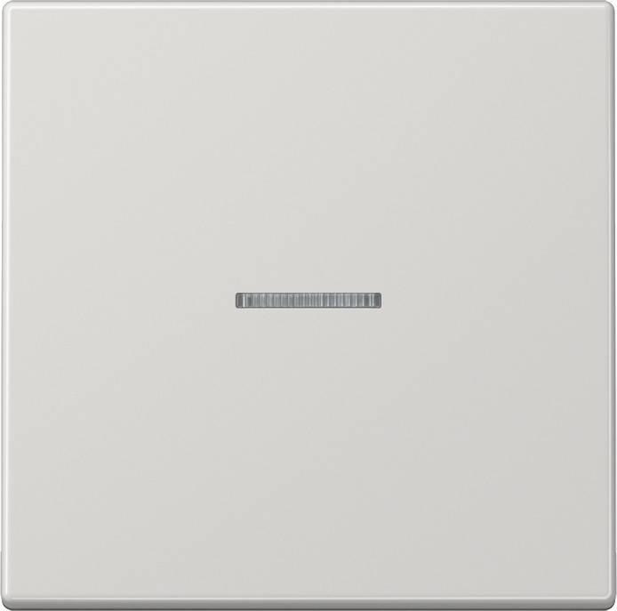 Jung Wippe Lichtleiter lgr LS 990 KO5 LG