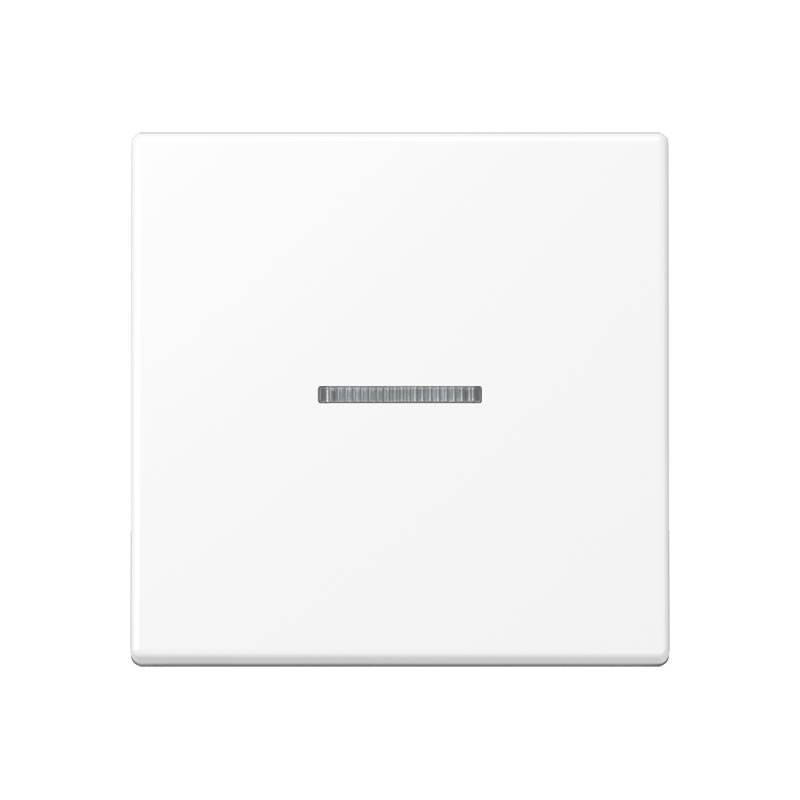 Jung KNX RF Taster 1fach A 10911 ST RF BF WWM