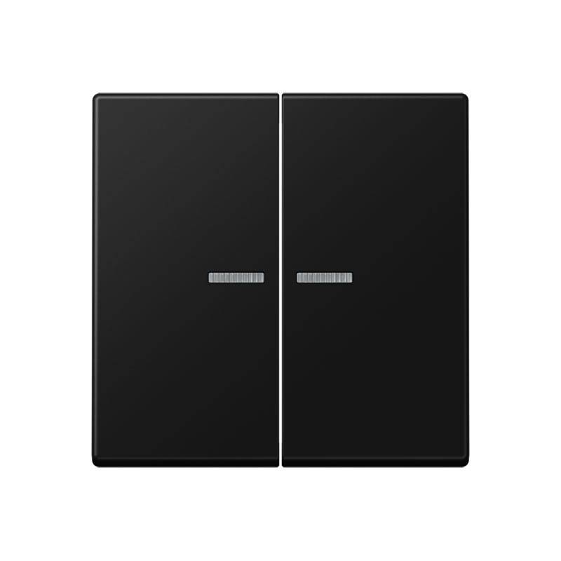 Jung KNX RF Taster 2fach A 10921 ST RF BF SWM