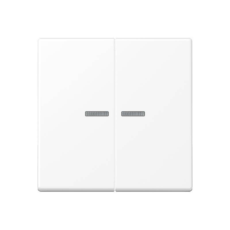 Jung KNX RF Taster 2fach A 10921 ST RF BF WWM