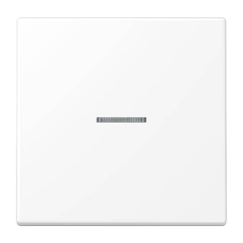 Jung KNX RF Taster 1fach LS 10911 ST RF WWM