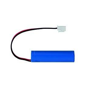 Ceag Notlichtsysteme LiIon Akku 3,7V/2000 mAh 40071353398