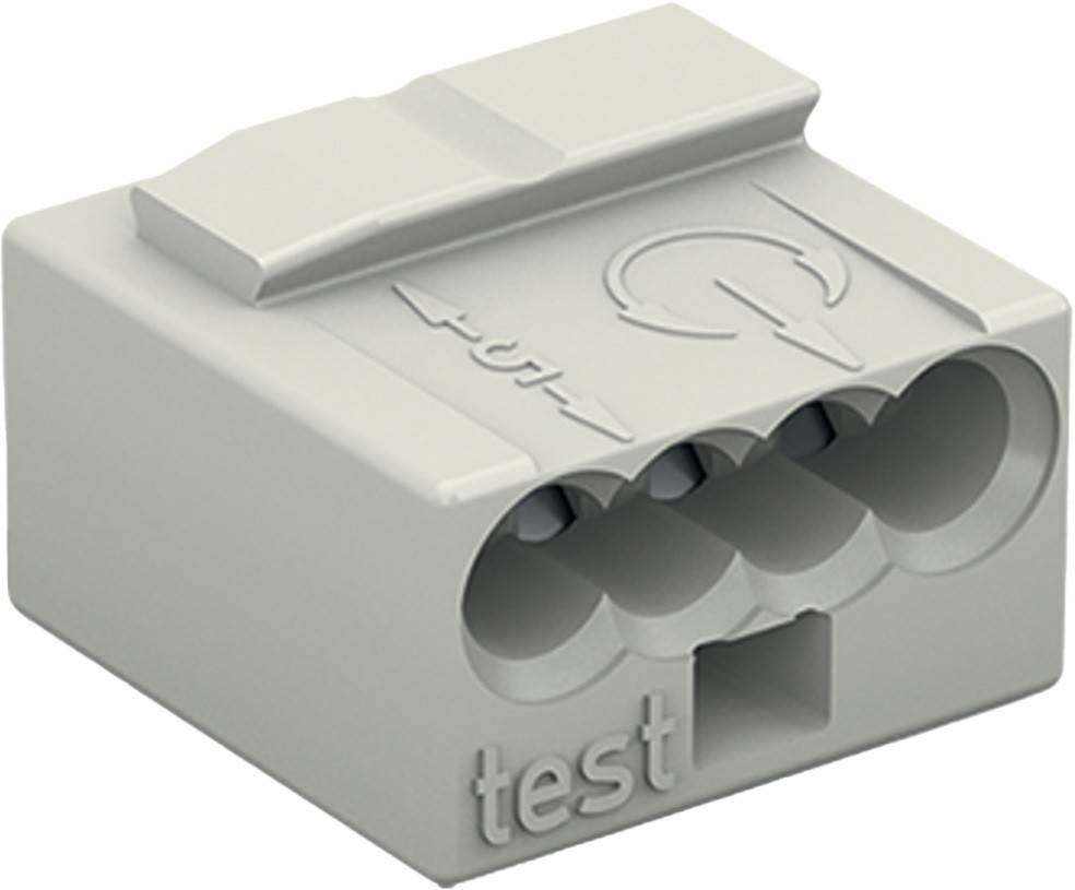 WAGO GmbH & Co. KG Verb.dosenklemme 243-304