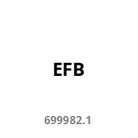EFB 699982.1' ist in schwarzer Schrift zentriert auf einem einfarbig weißen Hintergrund.