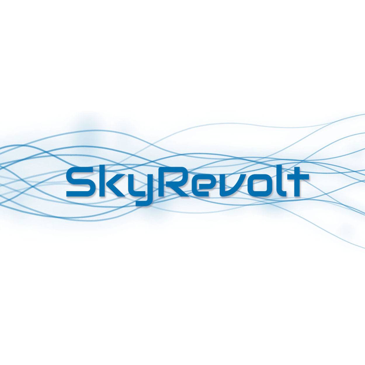 SkyRevolt Mastkappe Universal zum wasserdichten verschließen von Sat Masten bis 60 mm Mastrohr Mast Kappe
