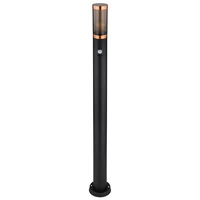 Standleuchte Außenbeleuchtung Stehleuchte mit Bewegungsmelder Garten Edelstahl, dimmbar Fernbedienung, 1x RGB LED 8,5W 806Lm warmweiß, DxH 7,6x110 Standleuchte Außenbeleuchtung Stehleuchte mit Bewegungsmelder Garten Edelstahl, dimmbar Fernbedienung, 1x RGB LED 8,5W 806Lm warmweiß, DxH 7,6x110