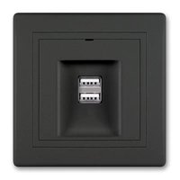 ALING-CONEL 2-fach USB Ladesteckdose 5V/2.1A inkl.Rahmen Schwarz Soft Touch ALING-CONEL 2-fach USB Ladesteckdose 5V/2.1A inkl.Rahmen Schwarz Soft Touch