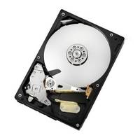HPE - Festplatte - 80 GB - Hot-Swap - 3.5" LFF (8.9 cm LFF)