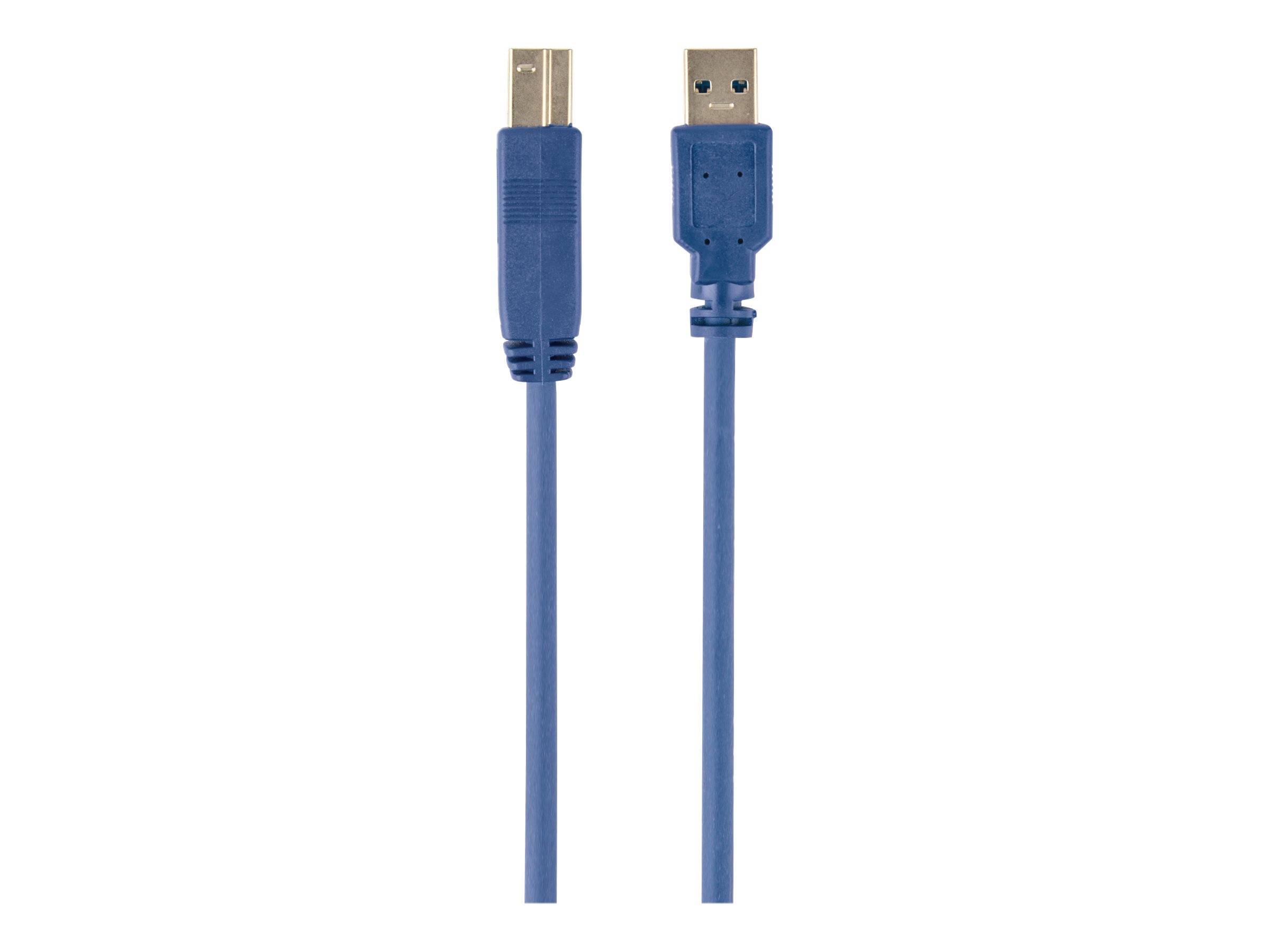 Gembird USB-Kabel - USB Typ A (M) zu USB Type B (M)