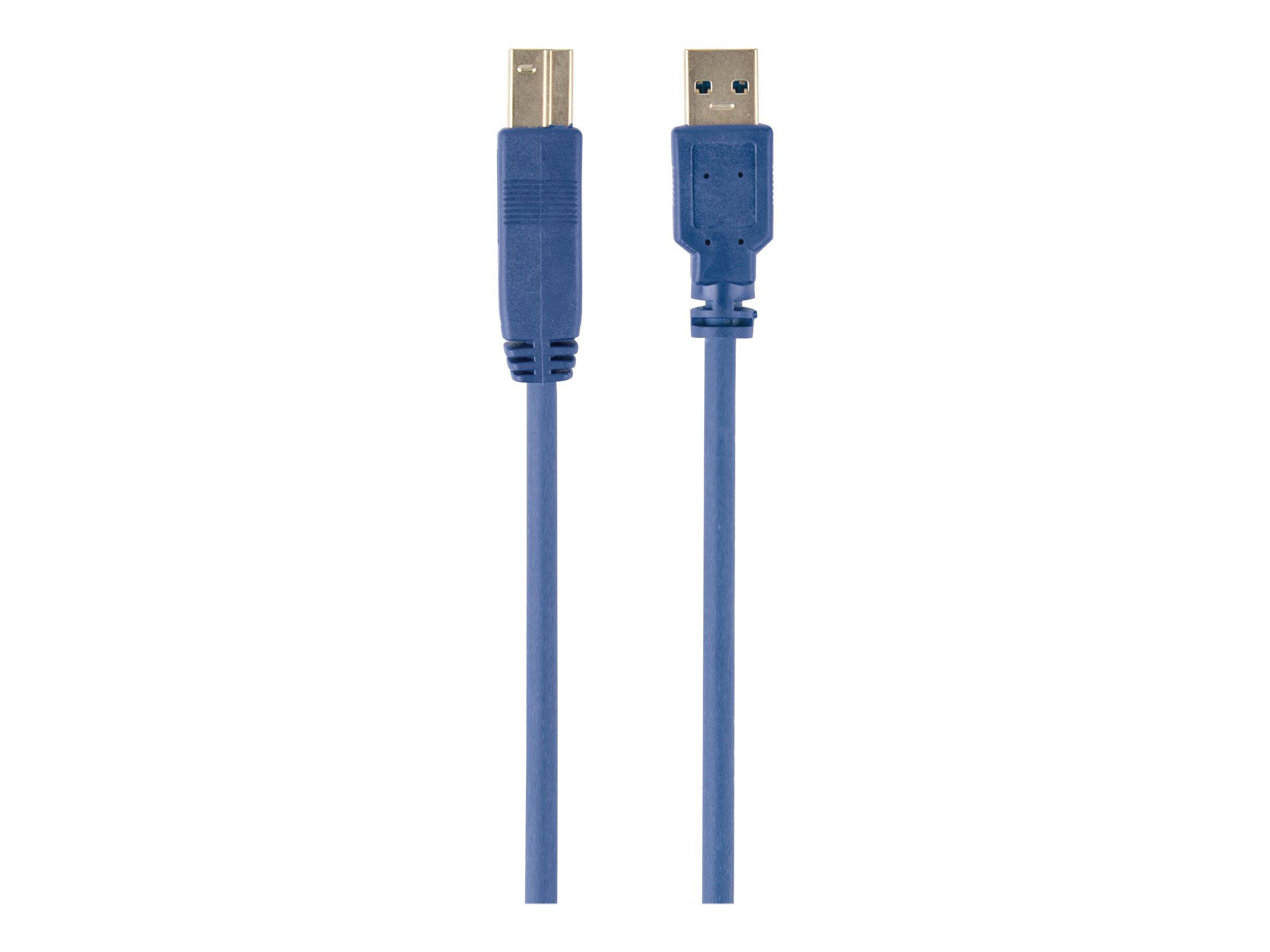 Gembird USB-Kabel - USB Typ A (M) zu USB Type B (M)