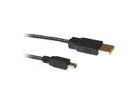 Intronics - USB-Kabel - USB (M) zu Mini-USB, Typ B (M) - 3 m - Schwarz