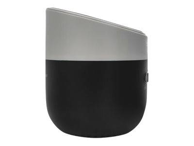 Manhattan Sound Science Metallic Bluetooth Speaker with Wireless Charging Pad (Clearance Pricing)