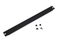 TRITON Rack - Leerkonsole - Schwarz, RAL 9005 - 1U - 48.3 cm (19") - 19" Blankin