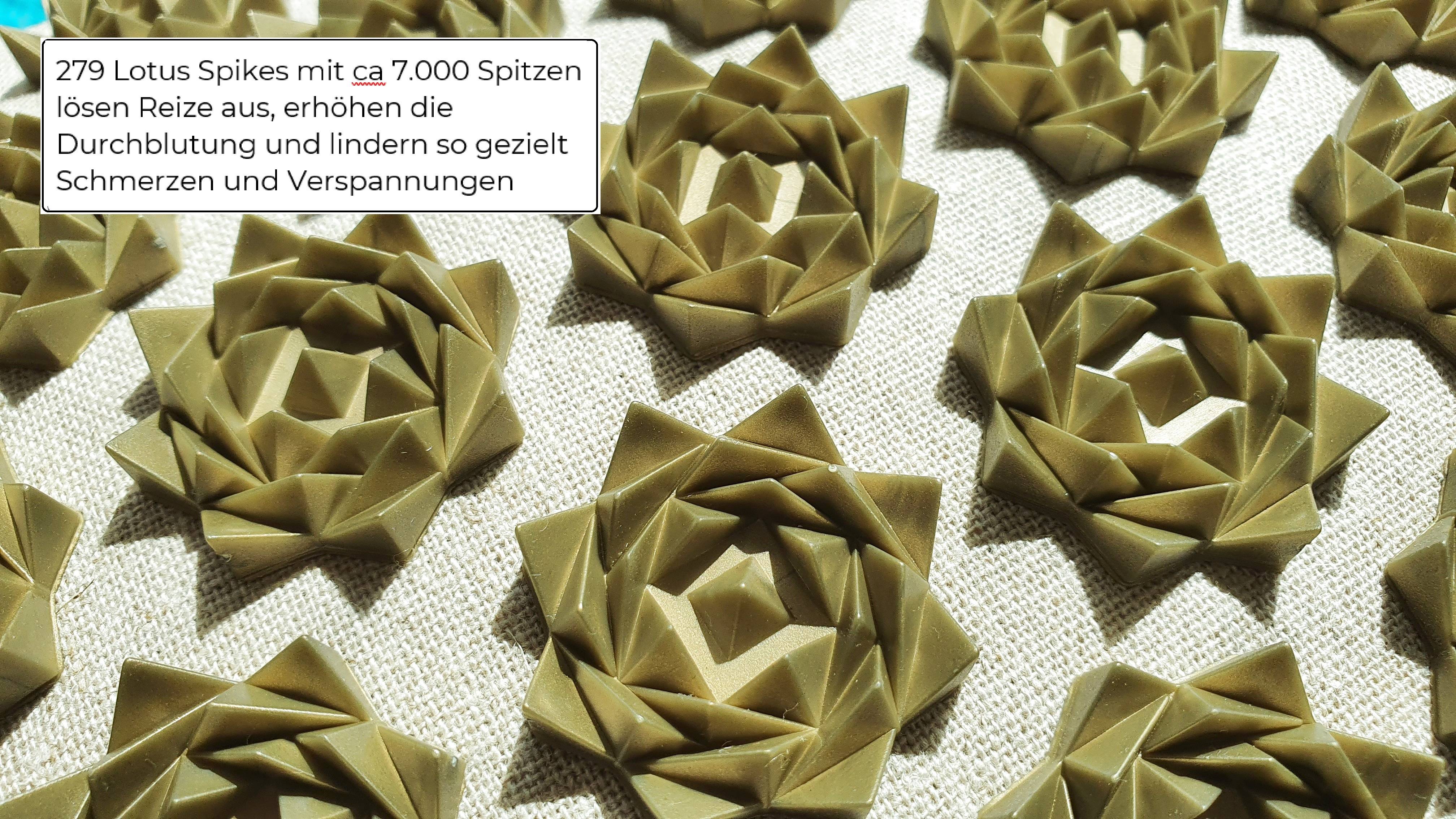 ERGOLEBEN Akupressur Matte und Kissen Premium Set |ökologische Materialen Kokosnussfaser Buchweizenschalen Leinen | Gegen Rückenschmerzen | Entspann