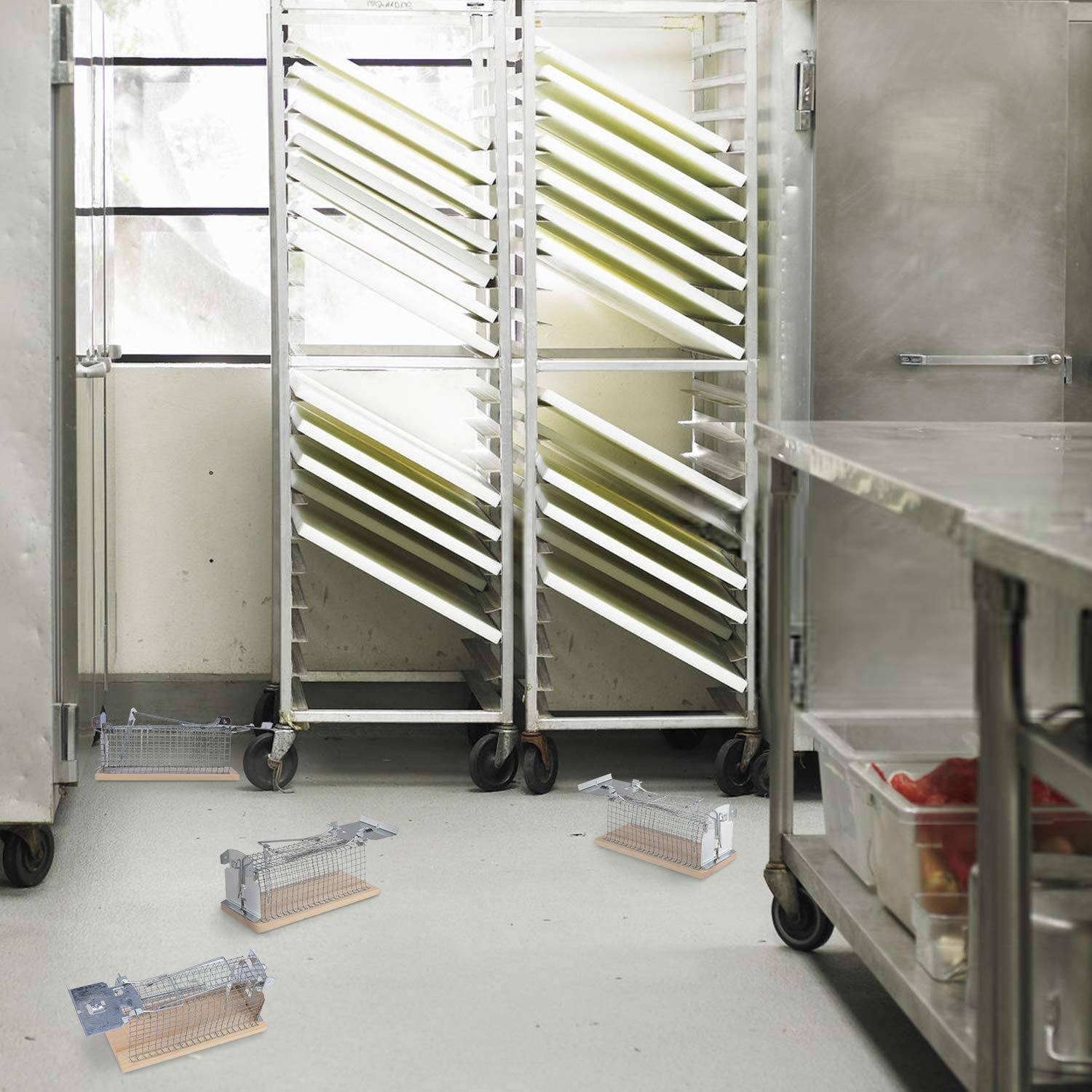 RatzFatz Mausefalle Lebendfalle 15cm Groß ●Inkl Ebook● Effektiv, Robust – Mäuse, Holz, Lebend Fangen, Kastenfalle, Draht, Keller, Carport, Ter