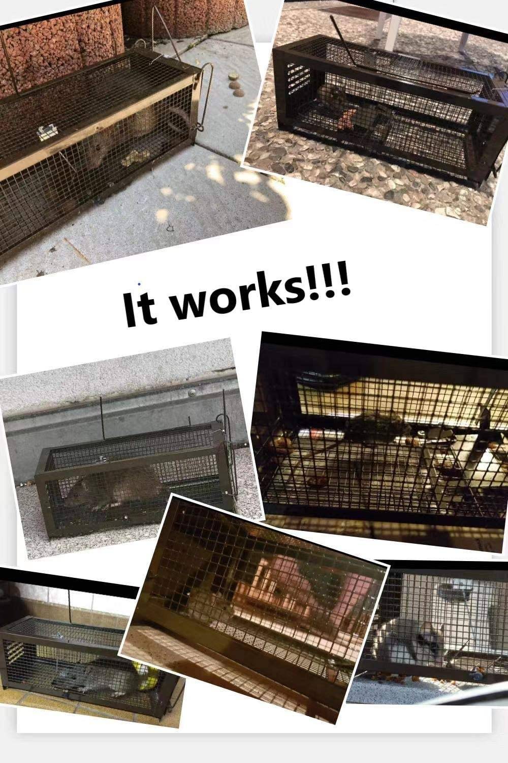 RatzFatz® 2MTBSL20, 2X Lebendfalle Mausefalle, Rattenfalle, ● Sieger 2021 ● XXL, Profi, Garten & Haus, Tierfalle Set, u.a. Hasen & Hamster, Sensi