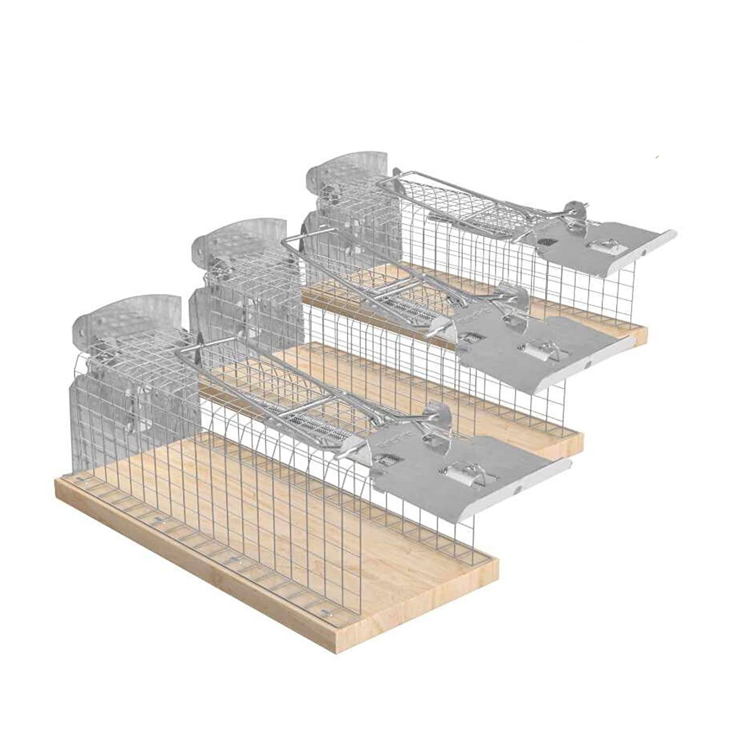 RatzFatz 3X Mausefalle Lebendfalle 15cm Groß ●Inkl Ebook● Effektiv, Robust – Mäuse, Wühlmäuse, Lebend Fangen, Kastenfalle, Draht, Holz, Kell