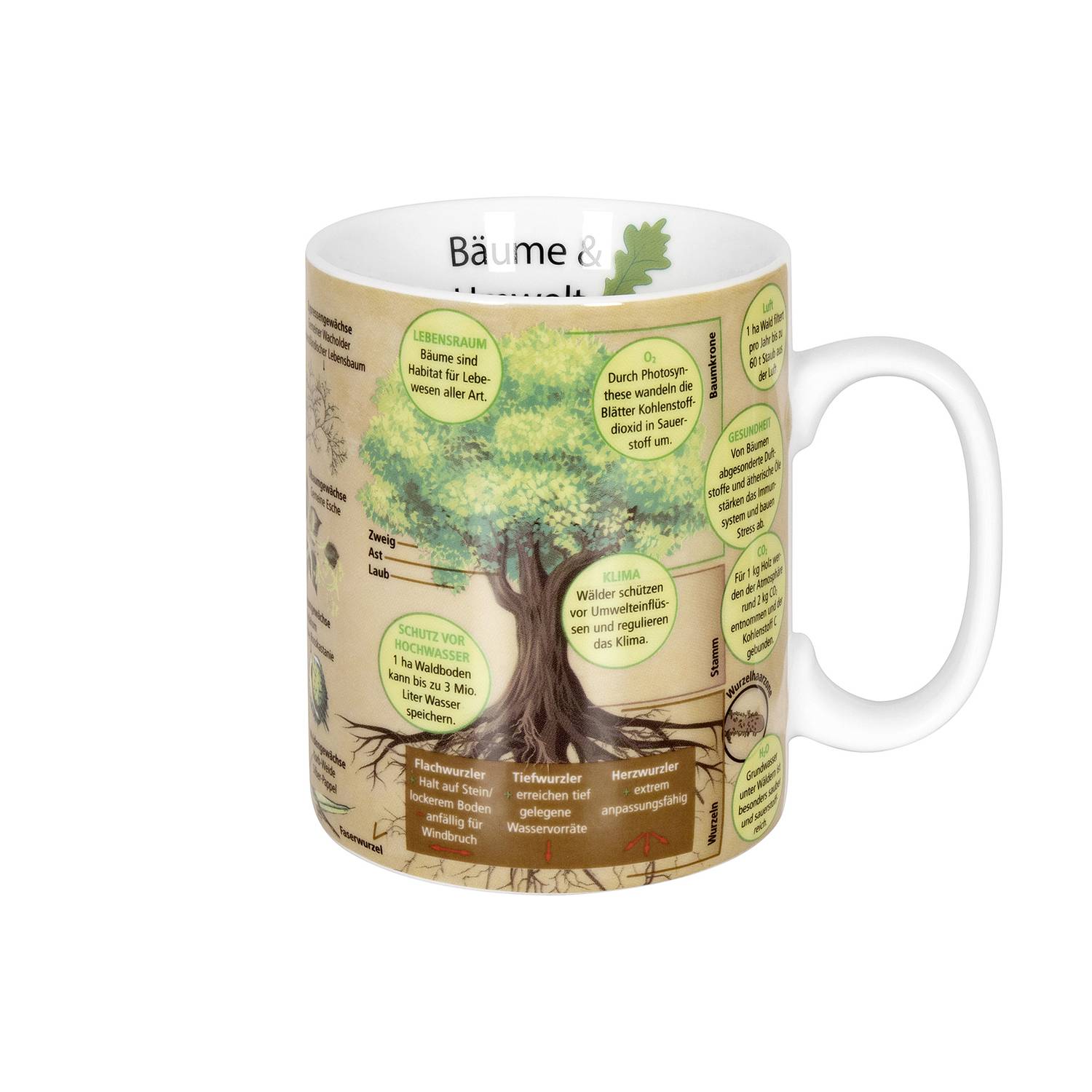 Könitz Kaffeebecher Wissensbecher Bäume 490ml, braun/grün