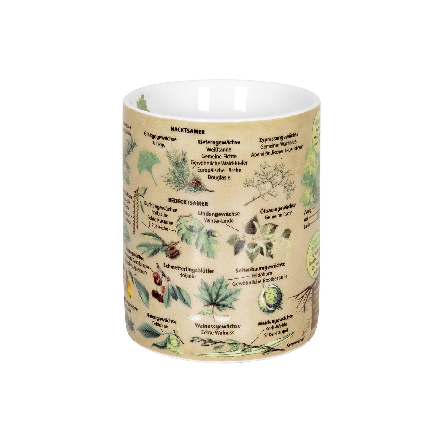 Könitz Kaffeebecher Wissensbecher Bäume 490ml, braun/grün