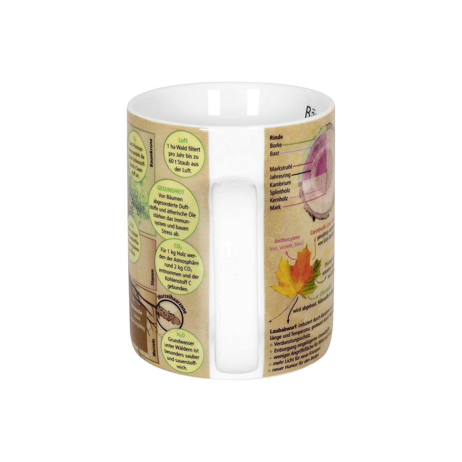 Könitz Kaffeebecher Wissensbecher Bäume 490ml, braun/grün