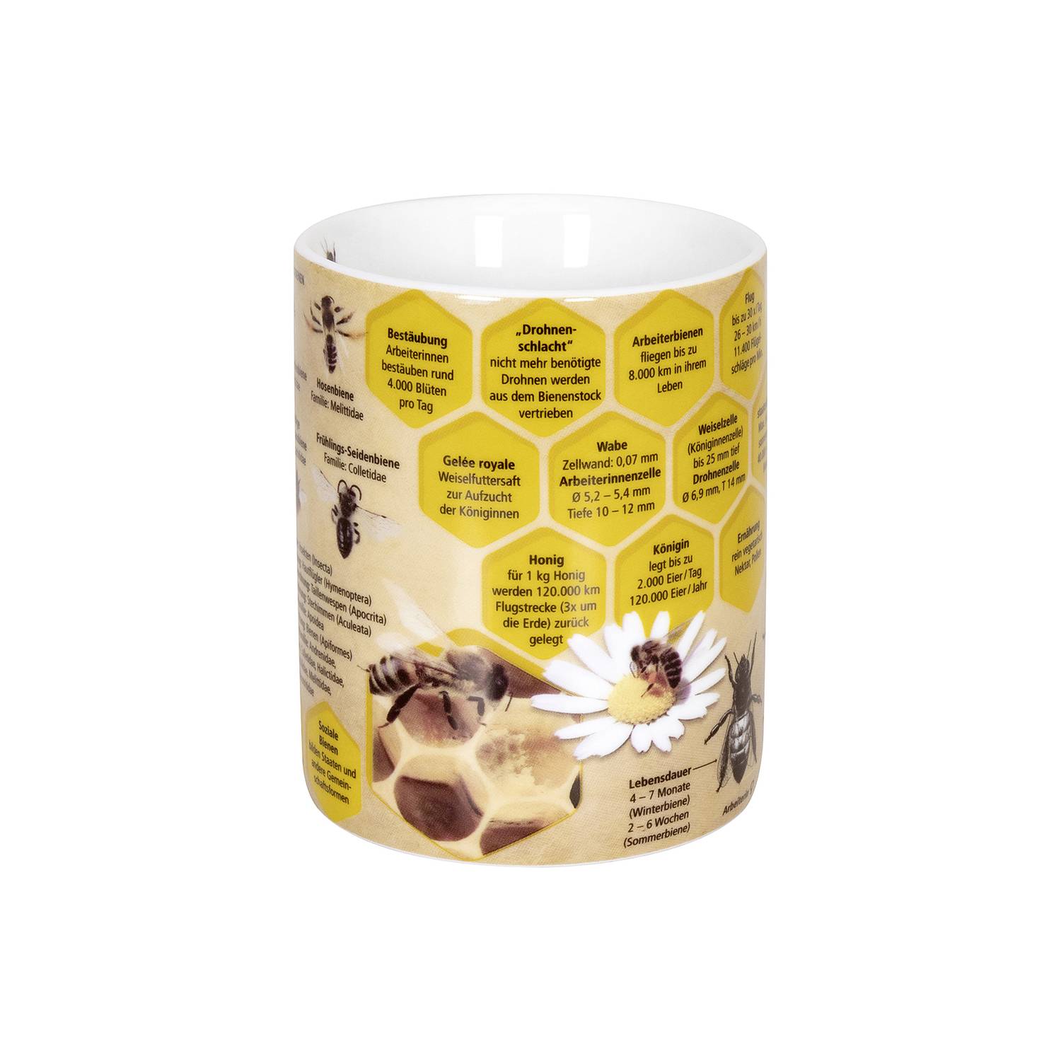 Könitz Kaffeebecher Wissensbecher Biene 490ml, gelb