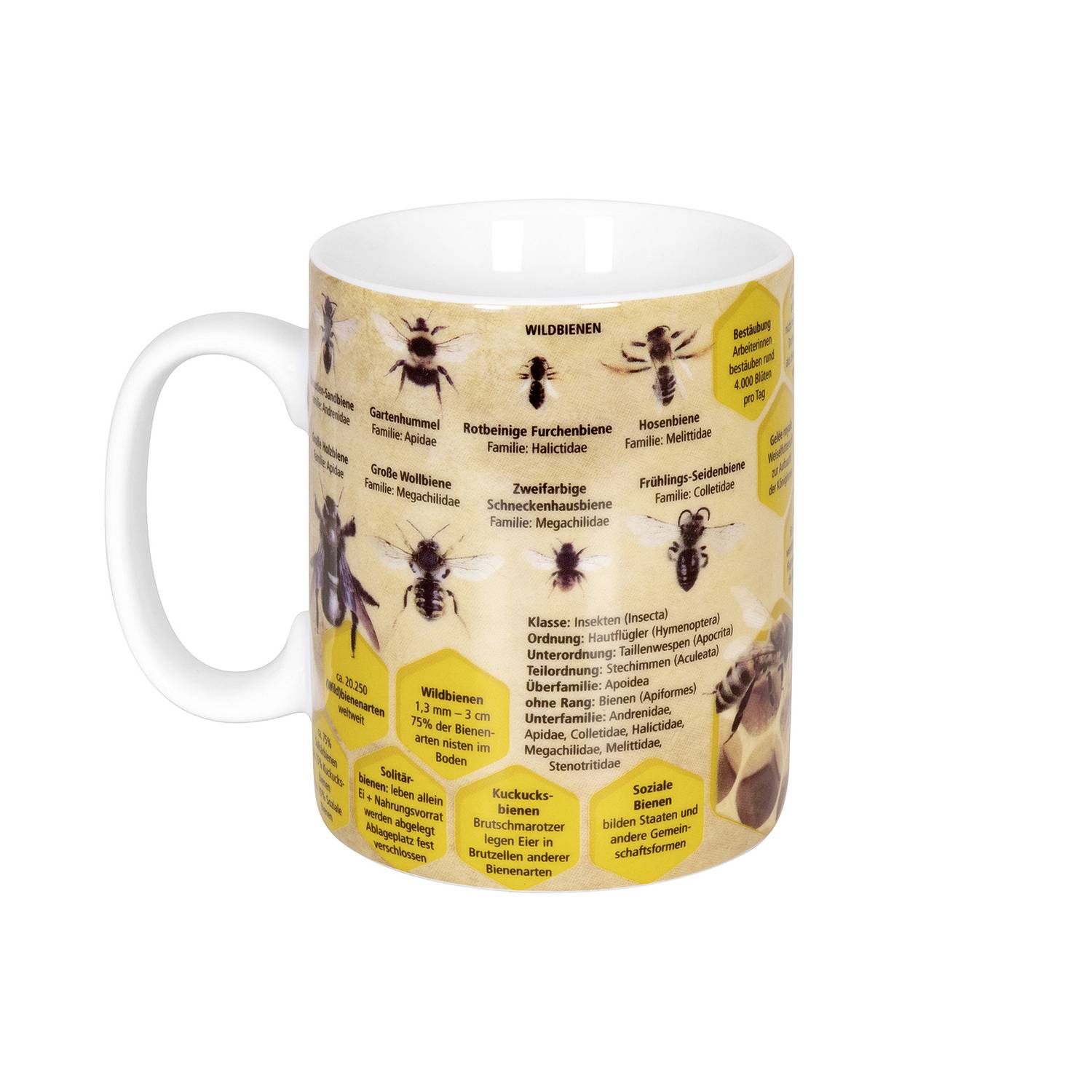 Könitz Kaffeebecher Wissensbecher Biene 490ml, gelb