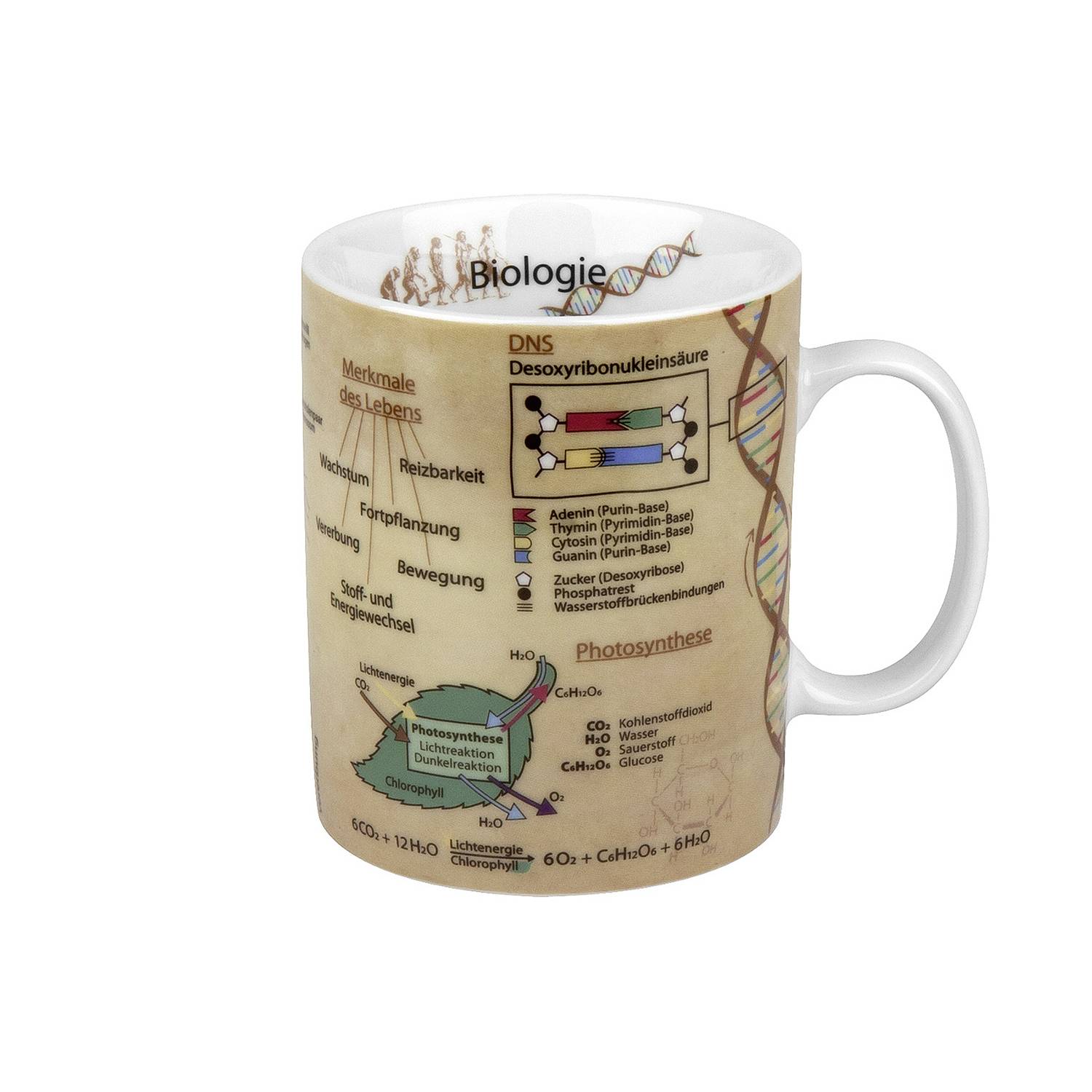 Könitz Kaffeebecher Wissensbecher Biologie 490ml, mehrfarbig