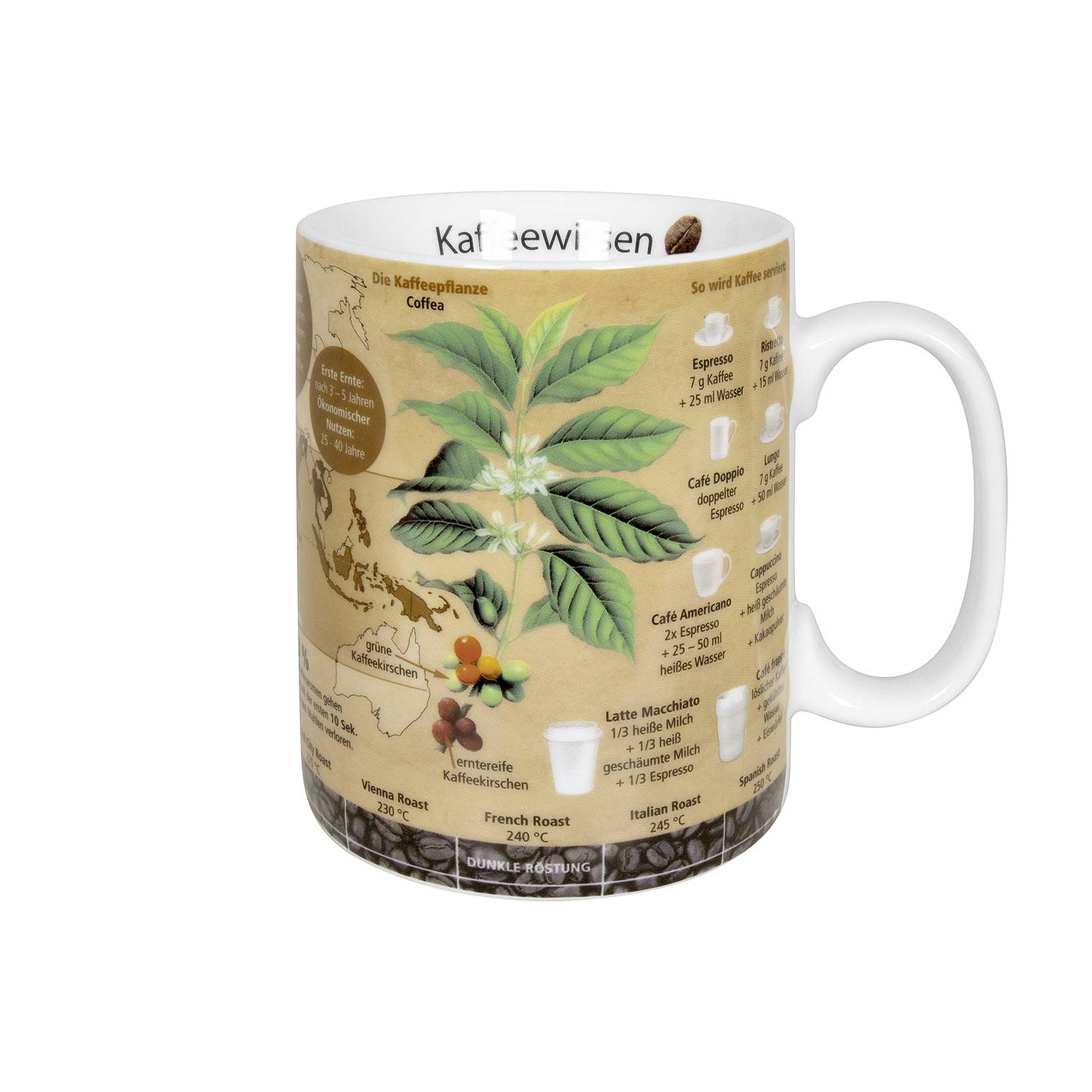 Könitz Kaffeebecher Wissensbecher Kaffeewissen 490ml, mehrfarbig