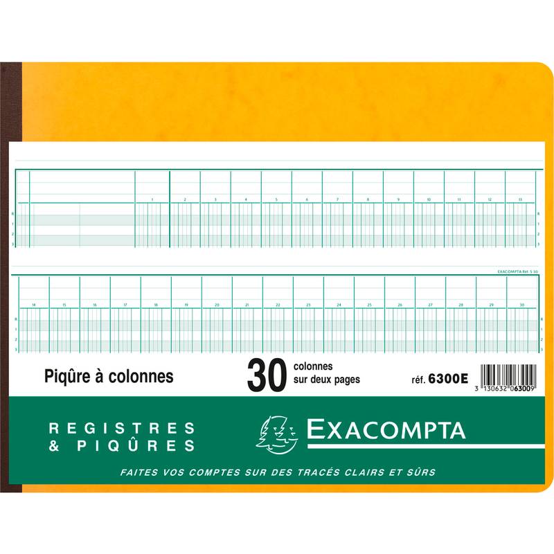 EXACOMPTA Piqûre à colonnes, 30 colonnes, 31 lignes