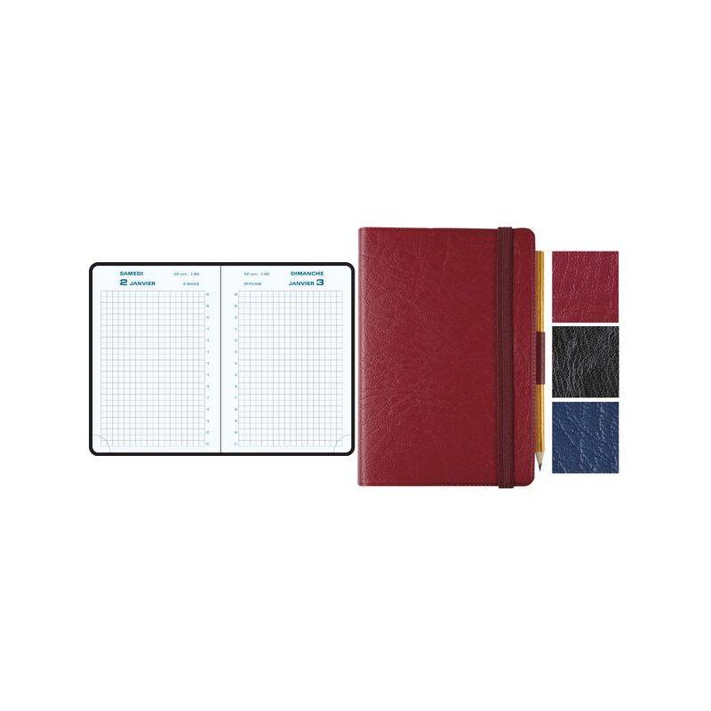 Ein Planer, der bis zum 2.-3. Januar geöffnet ist, mit Platz für Notizen, neben geschlossenen Einbänden in Rot, Schwarz, Blau und Rosa, die die Farboptionen präsentieren.