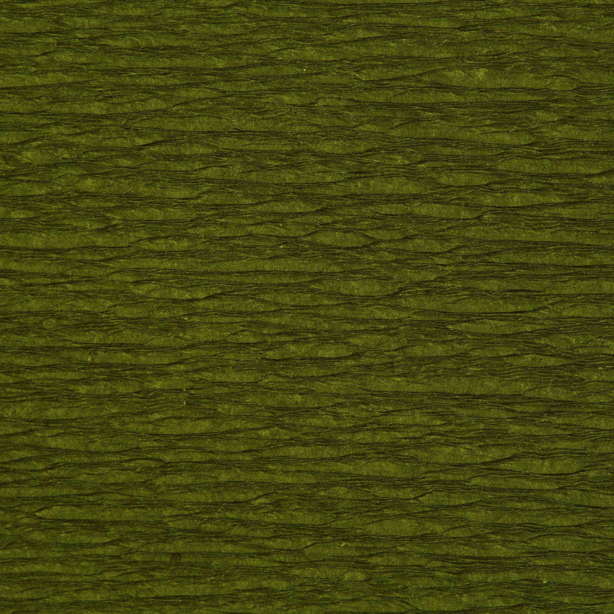 Clairefontaine Krepppapier Pack. 10 Bogen gefaltet 2mx0,50m Moosgrün 903055C