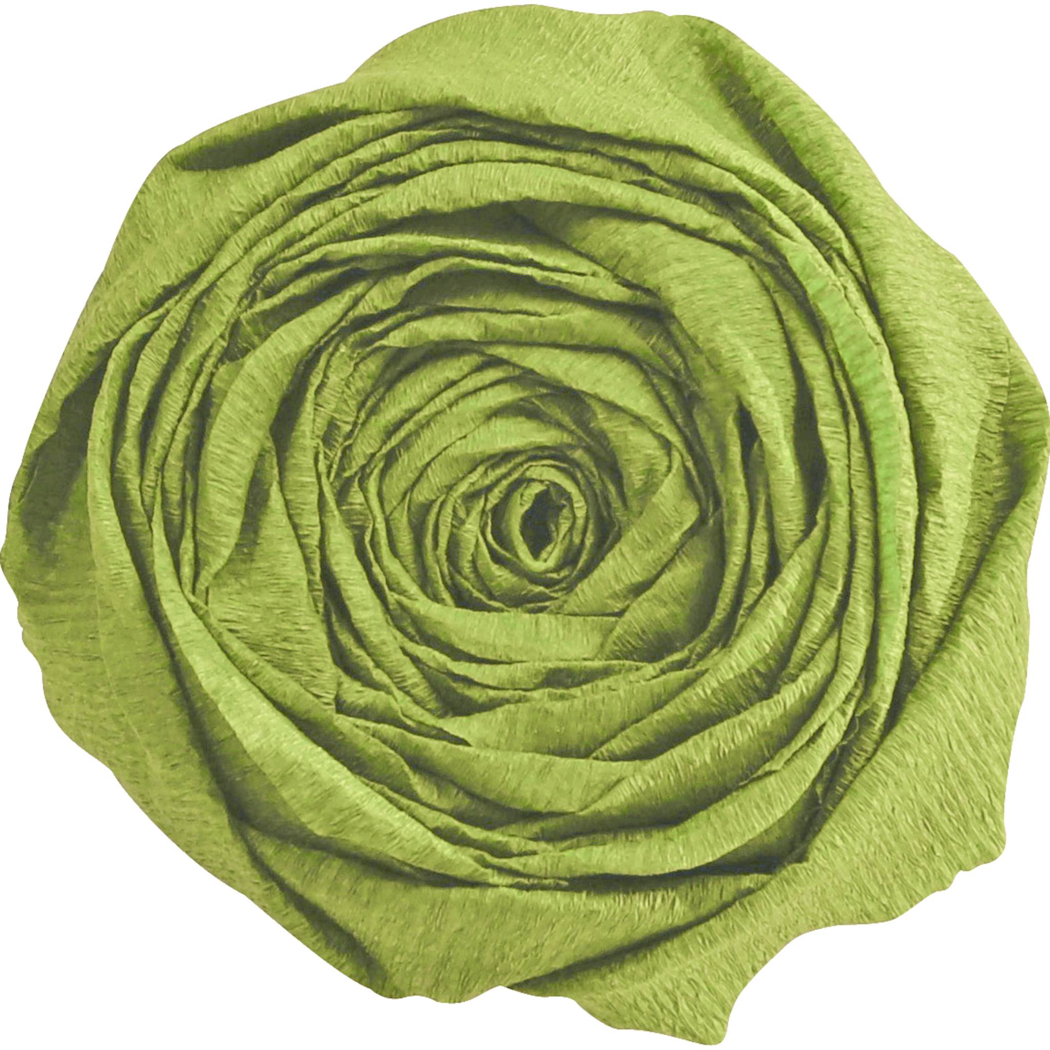 Clairefontaine Krepppapier Pack. 10 Bogen gefaltet 2mx0,50m Moosgrün 903055C