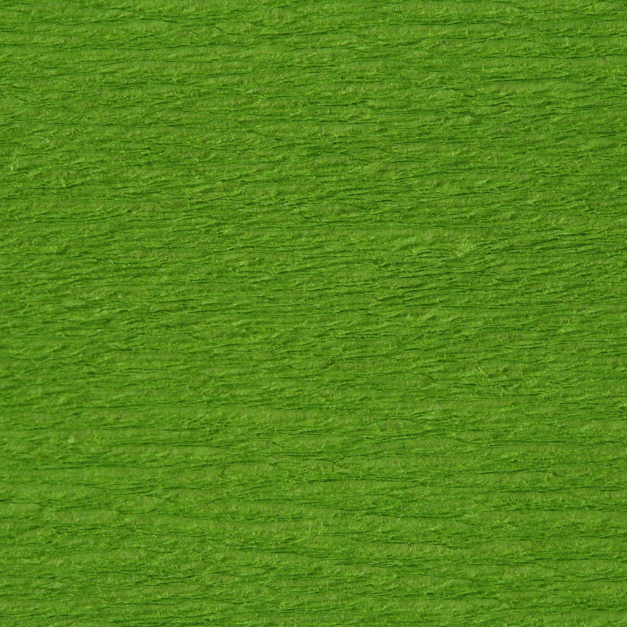 Clairefontaine Krepppapier, Pack. 10 Bogen gefaltet 2mx0,50m Wiesengrün 901021C