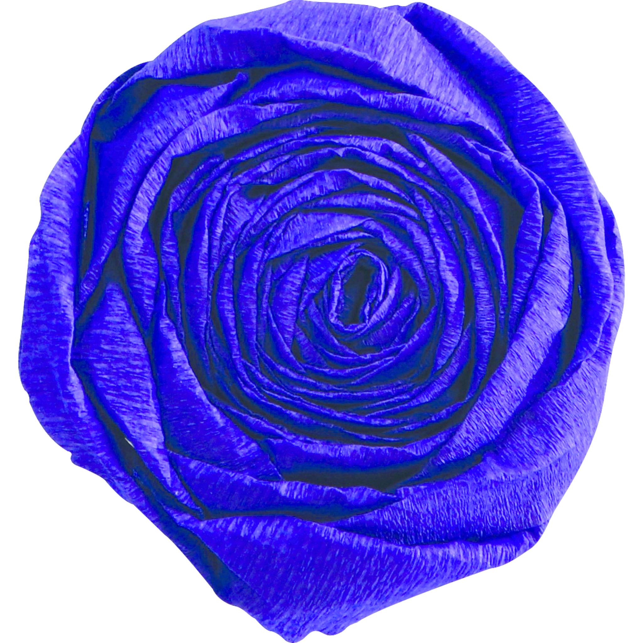 Clairefontaine Krepppapier Pack. 10 Bogen gefaltet 2mx0,50m Violett 903011C