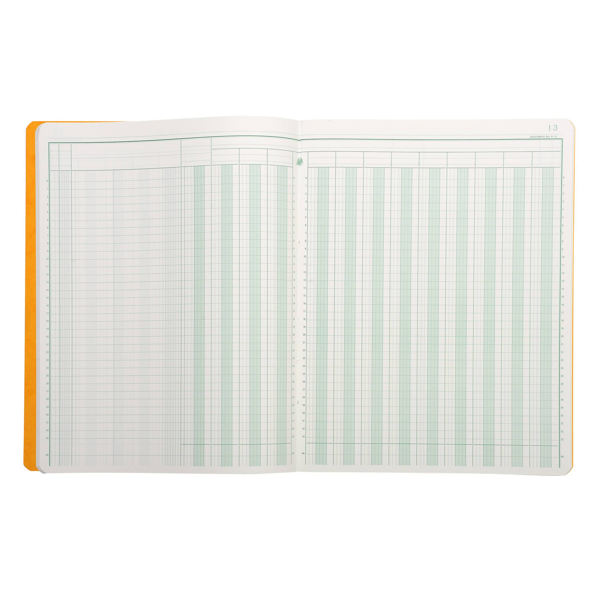 Exacompta Geschäftsbuch 13 Kolonnen 32x25 cm 80S - Farben sortiert - 4130E