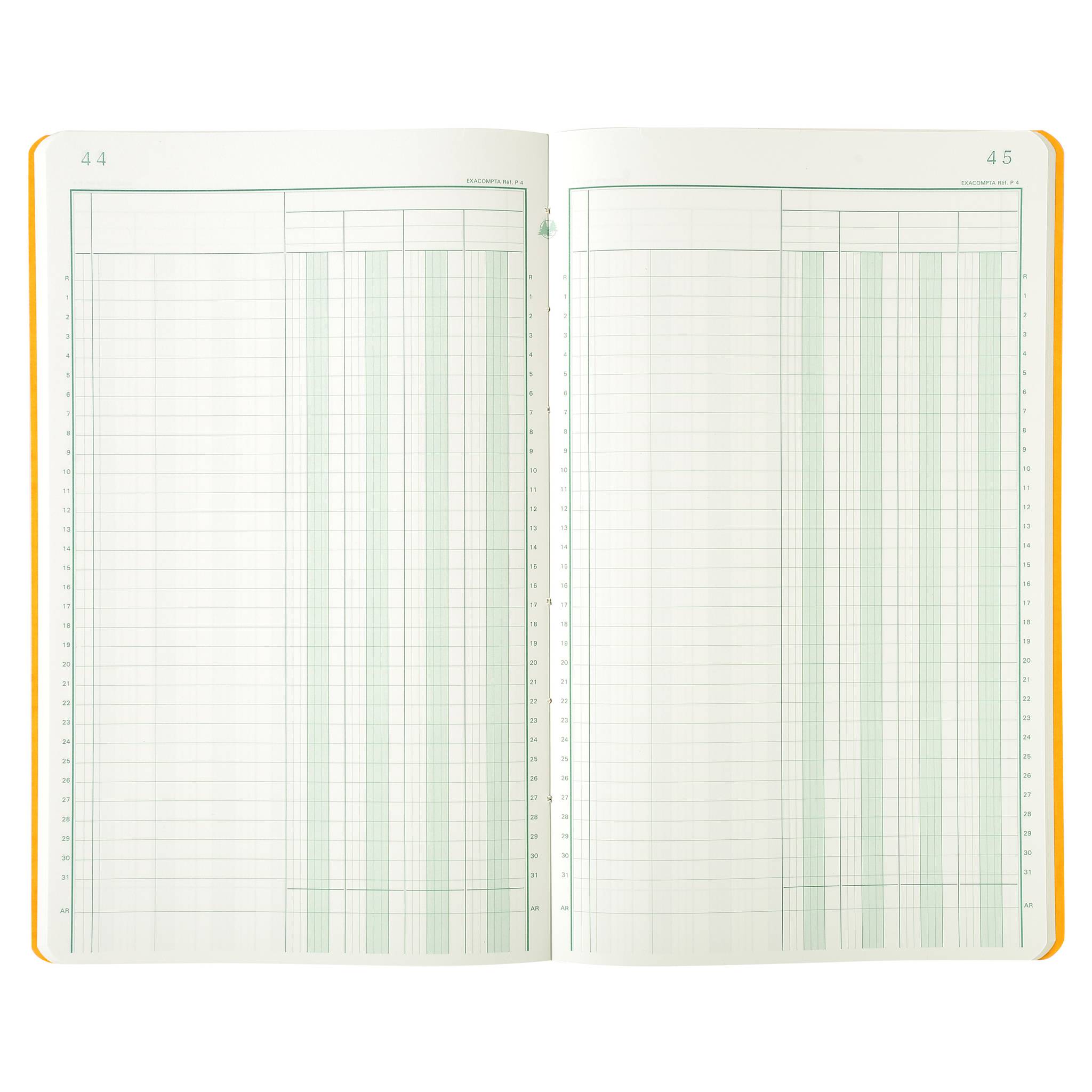 Exacompta Geschäftsbuch 15 Kolonnen 32x19,5 cm 80S - Farben sortiert - 7040E