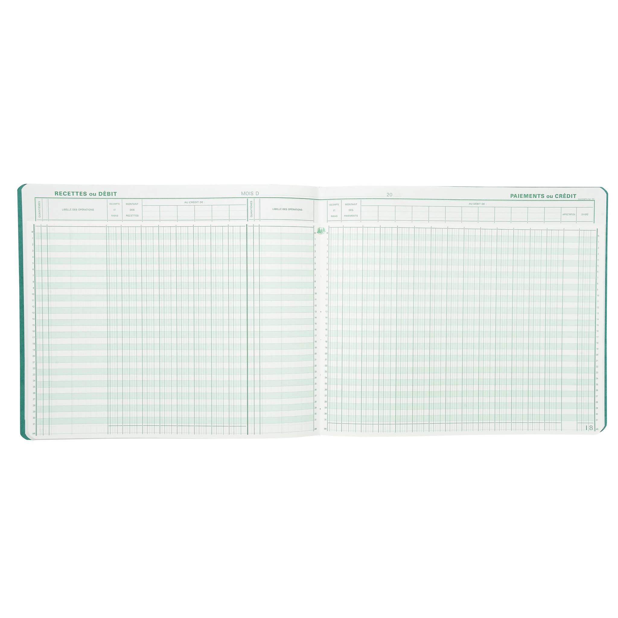 Exacompta Kassabuch 27x32 80S - 31 Liniert - Farben sortiert - 16800E