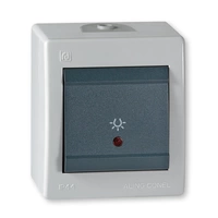 ALING-CONEL Aufputz Taster mit Lichtsymbol und Glimmlampe 10AX/250V~ / IP 44 - Grau ALING-CONEL Aufputz Taster mit Lichtsymbol und Glimmlampe 10AX/250V~ / IP 44 - Grau