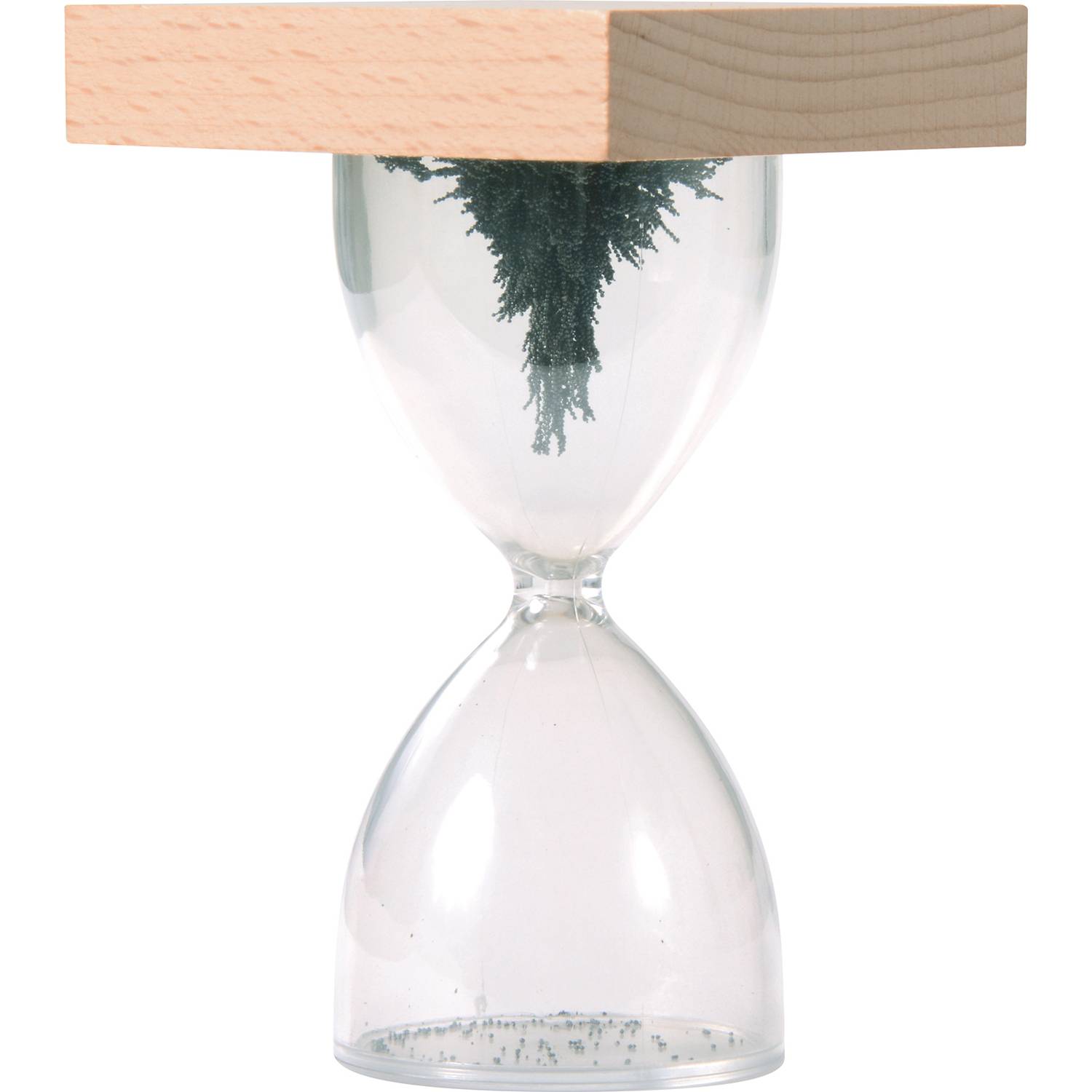 EDUPLAY 120600 Magnet-Timer, 6,5 x 6,5 x 10,5 cm, natur/klar