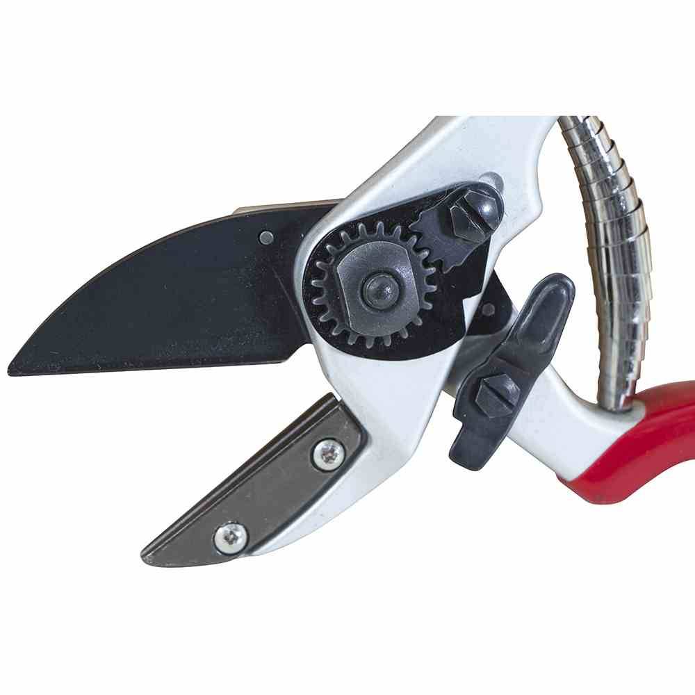 Siena Garden Premium Ambossschere, rot