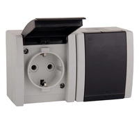 ALING-CONEL 2-fach Aufputz Schutzkontakt Steckdose mit Klappdeckel 16A/250V~ / IP44 - Grau ALING-CONEL 2-fach Aufputz Schutzkontakt Steckdose mit Klappdeckel 16A/250V~ / IP44 - Grau