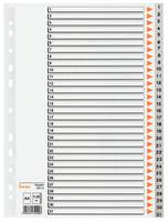 Leitz Plastik-Registerregister mit nummerierten Registerkarten von 1-31, gelocht für die Ordnereinführung, entwickelt zur Dokumentenorganisation.