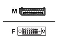 Sharkoon - Display-Adapter - DisplayPort (M)