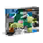 Clementoni Clemen Ausgrabungs-Set T-Rex & Tricerato| 69408350 x 260 x 70 mm