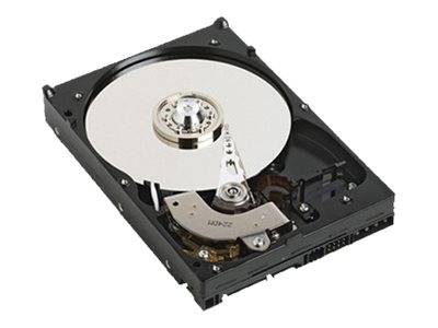 Dell - Festplatte - 1 TB - intern - 3.5" (8.9 cm)