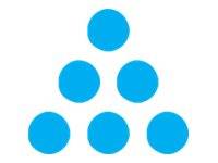 Ricoh - XL - Cyan - original - Tintenpatrone
