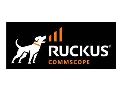 Brocade Ruckus - Netzteil (Plug-In-Modul) - AC - 250 Watt250 Watt
